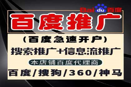 行业巨头的SEM广告投放策略揭秘